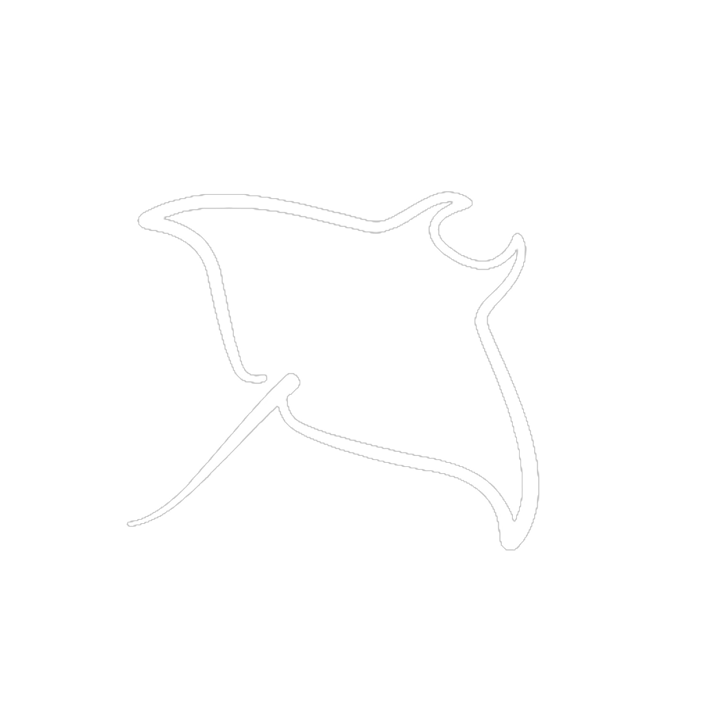 BAYA logo